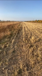 Участок, 100 сот, Сельхоз (СНТ или ДНП)