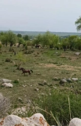 Участок, 15.2 сот, Поселения (ИЖС)