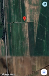 Участок, 135 сот, Сельхоз (СНТ или ДНП)